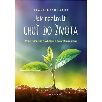 Jak neztratit chuť do života: Příčiny deprese a vyhořenía co proti nim dělat Kniha