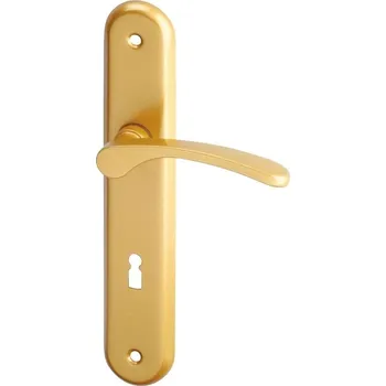 AC-T SERVIS Dveřní klika VIOLA zlatá - oválné štítové kování 72 mm Provedení štítu: BB - obyčejný klíč