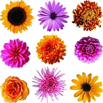 Samolepicí dekorace Flowers, 30 x 30 cm