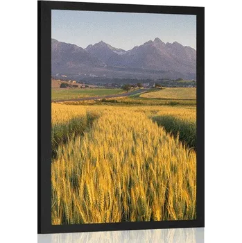 Plakát Dovido Plakát západ slunce nad pšeničným polem