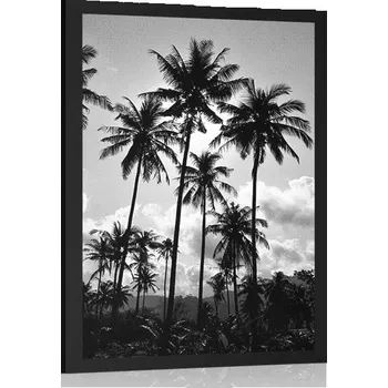 Plakát Dovido Plakát kokosové palmy na pláži v černobílém provedení