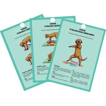 Spokonožka - Pohybové karty Valgozita 25 ks