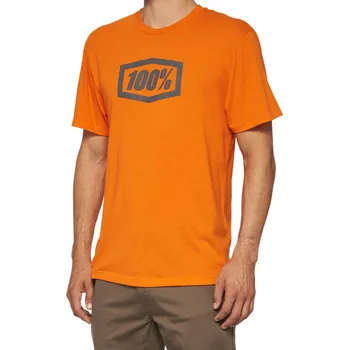 Pánské tričko Triko - 100% Icon Short Sleeve - Orange M
