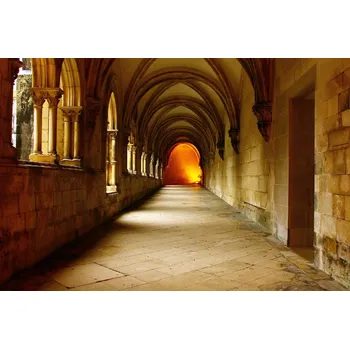 Fototapeta DIMEX | Vliesová fototapeta Klášter Alcobaça MS-5-1193 | 375 x 250 cm| oranžová, hnědá + Vliesová fototapeta na stěnu DIMEX Klášter Alcobaça MS51193 v rozměru 375 x 250 cm + lepidlo zdarma