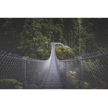 Fototapeta DIMEX | Vliesová fototapeta Vancouver island MS-5-0639 | 375 x 250 cm| zelená, metalická + Vliesová fototapeta na stěnu DIMEX Vancouver island MS50639 v rozměru 375 x 250 cm + lepidlo zdarma