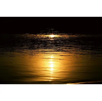 Fototapeta DIMEX | Vliesová fototapeta Měsíční svit na vodě MS-5-2307 | 375 x 250 cm| černá, žlutá, oranžová + Vliesová fototapeta na stěnu DIMEX Měsíční svit na vodě MS52307 v rozměru 375 x 250 cm + lepidlo zdarma