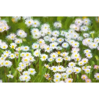 Fototapeta DIMEX | Vliesová fototapeta Malba - Jarní louka MS-5-1990 | 375 x 250 cm| zelená, bílá, žlutá + Vliesová fototapeta na stěnu DIMEX Malba - Jarní louka MS51990 v rozměru 375 x 250 cm + lepidlo zdarma