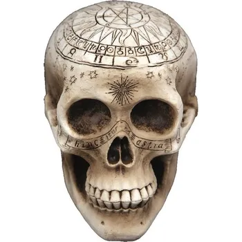 Karnevalový doplněk Lebka - 20x14 cm