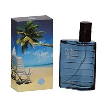Pánský parfém Davidoff Real Time Sea Beach, Toaletní voda 100 ml (Alternativa vone Davidoff Cool Water) Pre mužov Toaletní voda