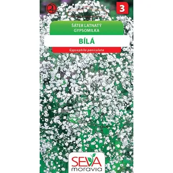 Semeno Šáter latnatý