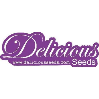 Semeno Delicious Seeds Delicious Candy Early Version (Early Version, feminizovaná semena Delicious Candy Early Version)