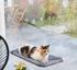 Pelíšek pro kočku InnovaGoods Catlax závěsná hamaka 56 x 38 x 2,5 cm šedá