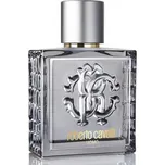 Roberto Cavalli Roberto Cavalli Uomo Silver Essence, Toaletna voda 100ml - Tester Pre mužov Toaletní voda