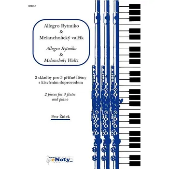 Židek, Petr: Allegro Rytmiko & Melancholický valčík / 2 skladby pro 3 příčné flétny a klavír Kniha