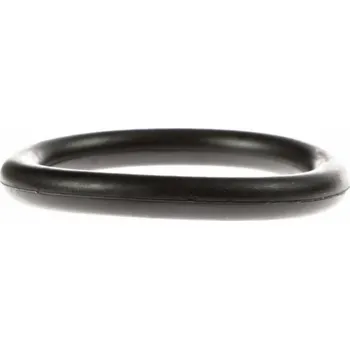 Těsnění kroužek sání Ford