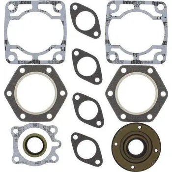 Těsnění motoru Winderosa sada těsnění motoru (s olejovým těsněním) Polaris TX 73