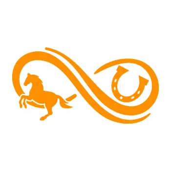 Samolepící dekorace Infinity 005 levá koník s podkovou (06 - oranžová) SAMOLEPKA NA AUTO, NÁLEPKA, FÓLIE, POLEP, TUNING, VLASTNÍ TEXT, TISK, AUTOSAMOLEPKY.cz, POLEPY, OBRÁZEK, LOGO, 3D STICKERS