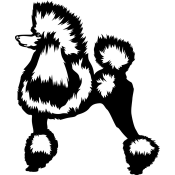 Vsepropejska Pudl 2 dřevěná dekorace na zeď Rozměr (cm): 38 x 32