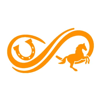 Samolepící dekorace Infinity 005 pravá koník s podkovou (06 - oranžová) SAMOLEPKA NA AUTO, NÁLEPKA, FÓLIE, POLEP, TUNING, VLASTNÍ TEXT, TISK, AUTOSAMOLEPKY.cz, POLEPY, OBRÁZEK, LOGO, 3D STICKERS