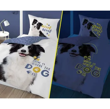 Povlečení Detexpol Border kolie svítící 140 x 200, 70 x 80 cm zipový uzávěr