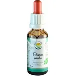 Salvia Paradise Chanca piedra pro psy a kočky - Tinktura balení 30 ml | Vitamíny a doplňky stravy pro psy