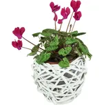 Vingo Bílý proutěný květináč tvaru hnízdo. Rozměry (cm): průměr 25, v. 21