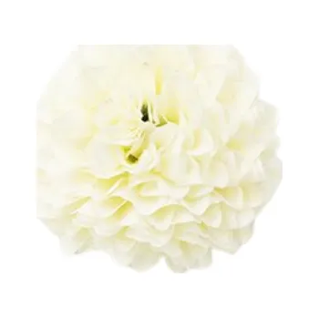 umělá květina Chryzantéma 002 smetanová