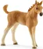 Figurka Schleich 42432 Set hříbě a Quarter kůň se štěňátkem a doplňky