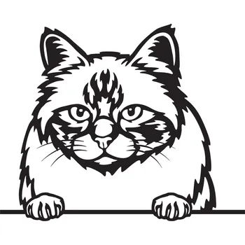 Vsepropejska Birma kočka dřevěná dekorace na zeď Rozměr (cm): 38 x 30