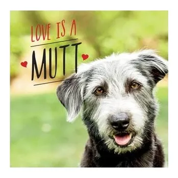 Kniha Love is a Mutt - Ellis, Charlie