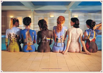 Plakát Pyramid International Pink Floyd Back Catalogue 61 x 91,5 cm