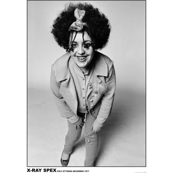 Plakát Plakát, Obraz - Poly Styrene / X-Ray Spex - Dress