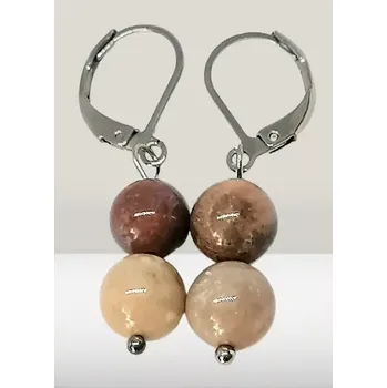 Náušnice Naušnice zkamenělé dřevo s chirurgickou ocelí