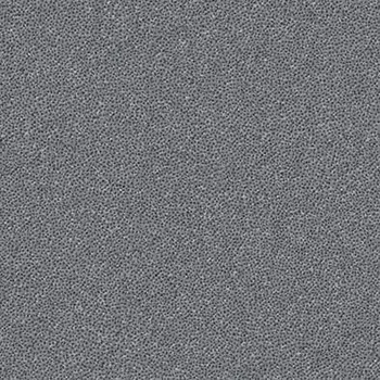 RAKO TAURUS TRM25065 20 cm x 20 cm x 0,8 cm šedá 1,28 m2