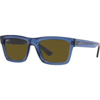 Ray-Ban Warren RB 4396 668073 54