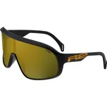 Sportovní sluneční brýle R2 FALCON AT105D