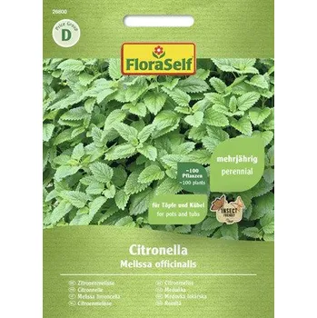 Semeno Meduňka lékařská Citronella FloraSelf