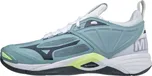 Mizuno Wave Momentum 2 V1GA211238