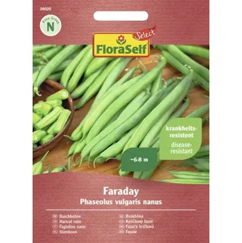 Semeno Fazole keříčková Faraday FloraSelf Select