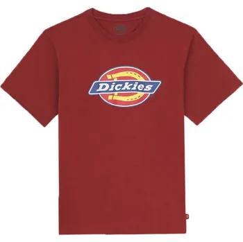 Pánské tričko DICKIES ICON LOGO T-SHIRT FIRED BRICK vel. XL