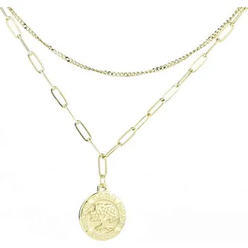 Náhrdelník Flamenco Mystique Elegantní Náhrdelník z Chirurgické Oceli s 18karátovým Zlatem, Délka Řetízku 39+5 cm