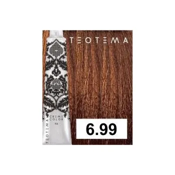 Barva na vlasy Barva na vlasy Teotema č. 6.99 lískový oříšek
