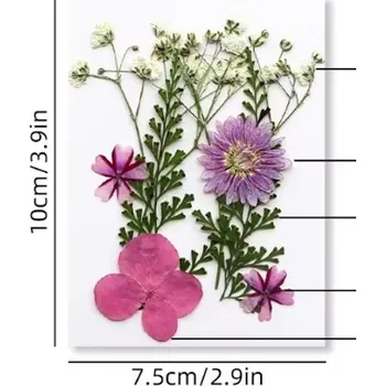 PourArt Sušené květiny SADA HAR-317 arch 100x75mm