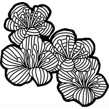 Šablona TCW 6aquot;x6aquot; (15,2x15,2 cm) - Hawthorn Flowers