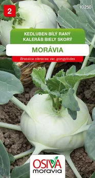 Semeno Osiva Moravia Kedluben bílý raný Morávia 0,8 g