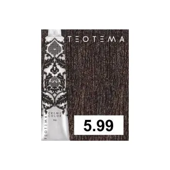 Barva na vlasy Barva na vlasy Teotema č. 5.99 čokoládová