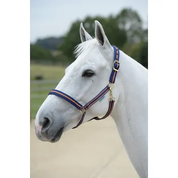 Bucas Ohlávka Dublin Bucas, navy with orange trim EXTRA FULL