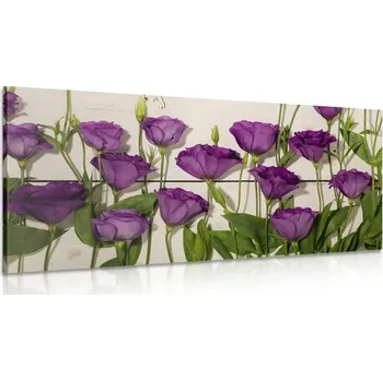 Obraz Dovido Obraz nádherné fialové květy