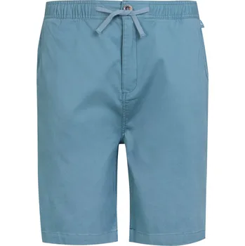 Pánské kraťasy Pánské kraťasy Regatta Aldan Short Velikost: L / Barva: světle modrá