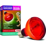 Arcadia Basking Infrared